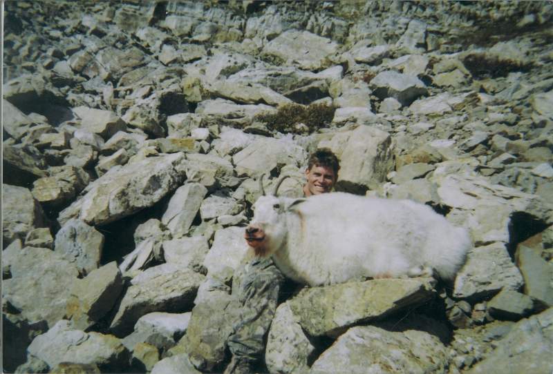 Motana Mountain Goat