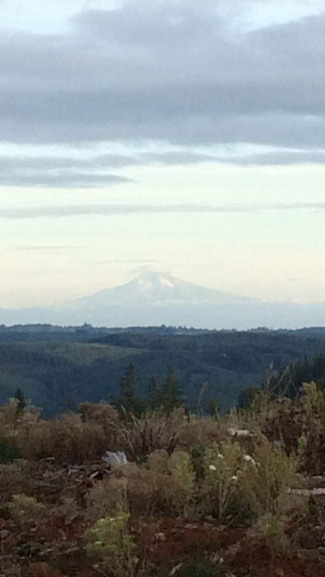 Mt Hood