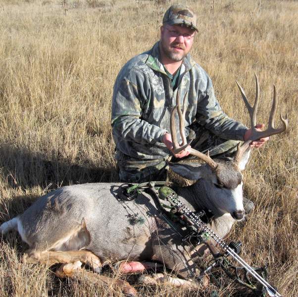 Mule Deer 2009  1