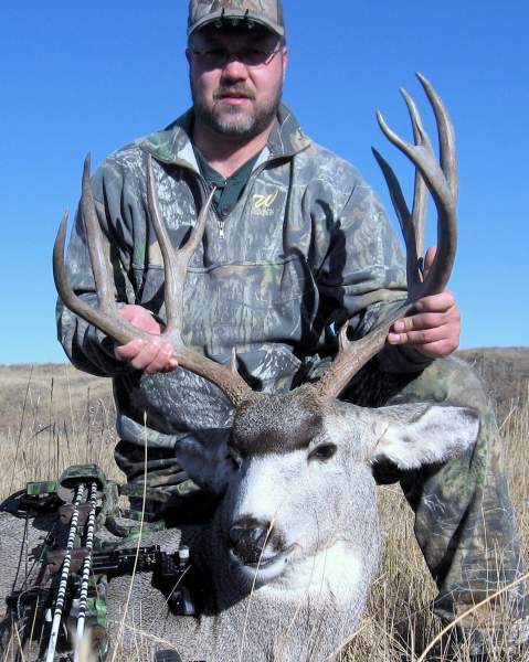 Mule Deer 2009   2a