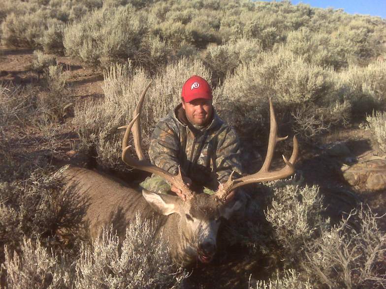 my 2010 NV mule deer, 33&quot; wide