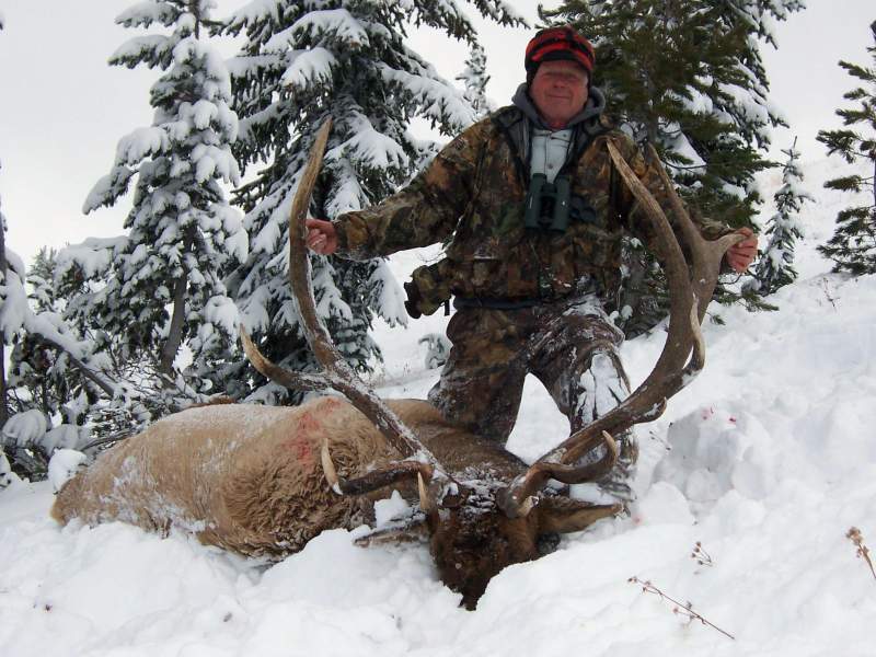 My best Bull Elk (365&quot; gross) taken in Wyoming (Absoroka Wilderness) at 9500' elevation in October, 2006.  Hunted with Timber Creek Outfitters.