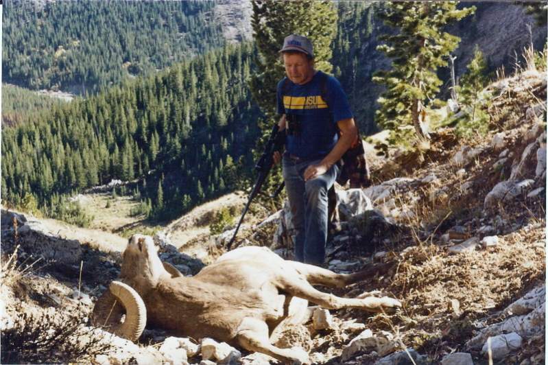 My Bighorn Ram, where he dropped, in the Sun River area of the Bob Mashall Wilderness.  October 10,1988.