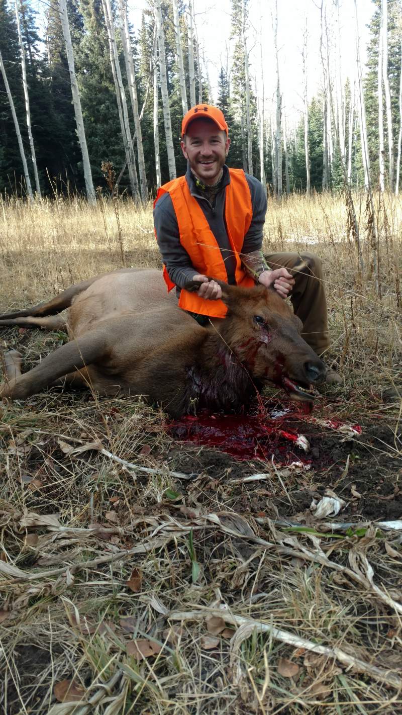 My brothers first Elk