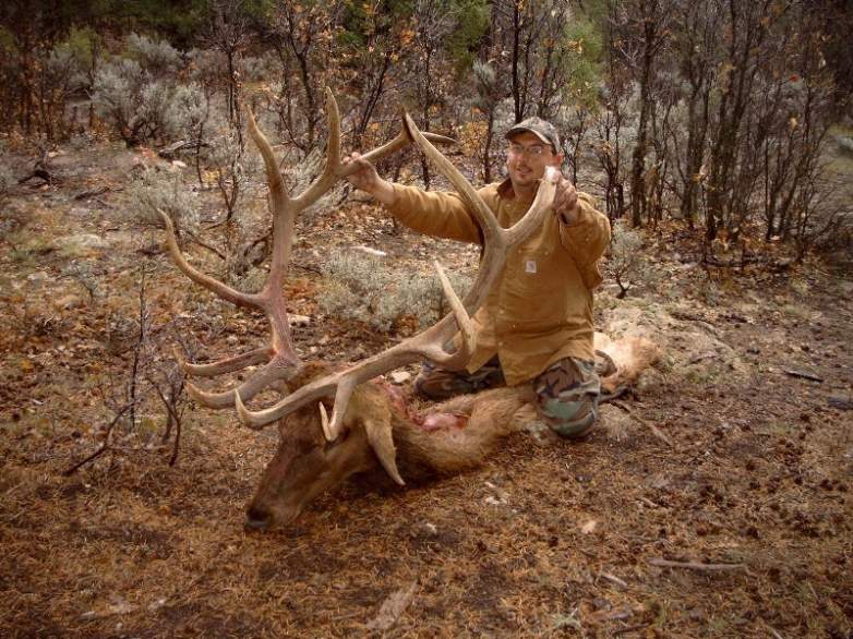 My Colorado 2006 bull