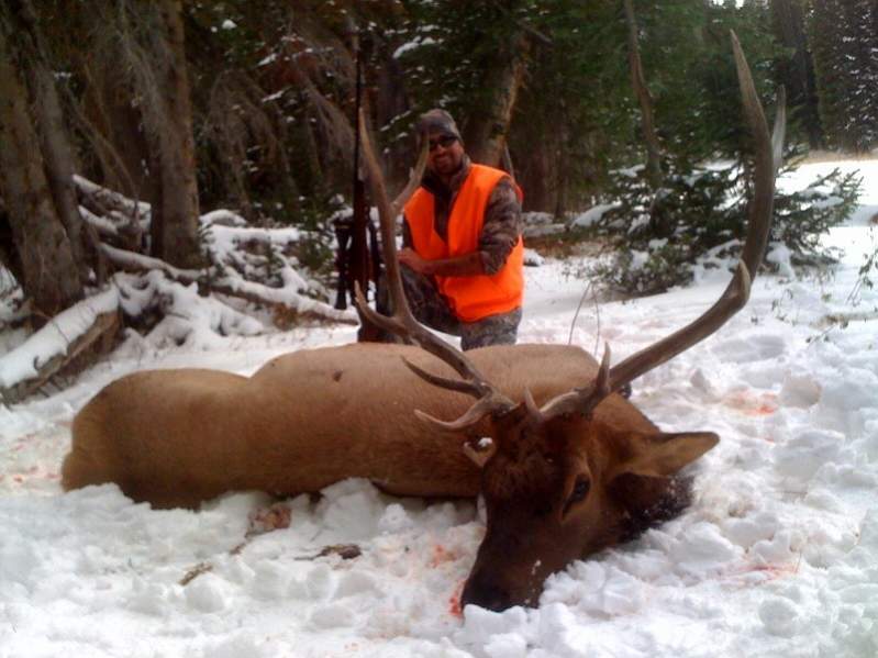 my first bull elk. Utah, over the counter tag, public land