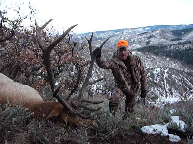 My first bull elk.