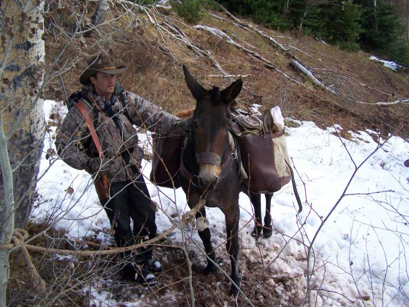 My son &amp; one spike elk boned and packed up