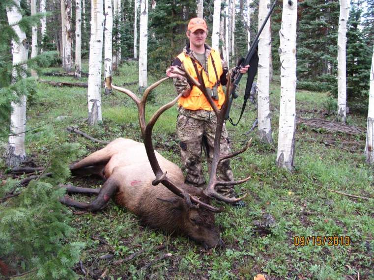 My son's 2013 Utah bull