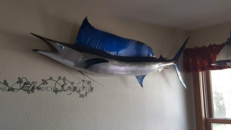 My wife's spearfish