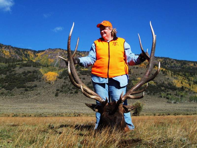 My wife's Utah bull