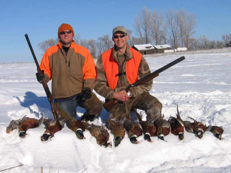 ND 08 Pheasant 014