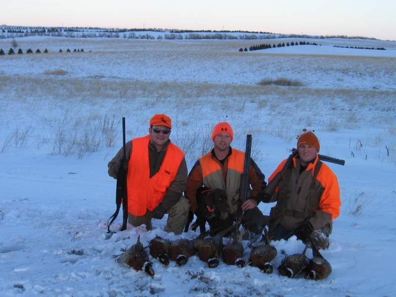 ND 08 Pheasant 022