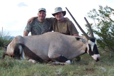 New mexico Oryx