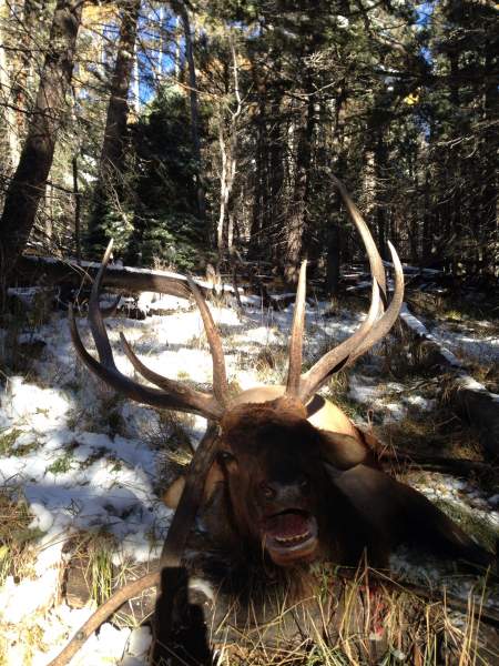 New Mexico public land..