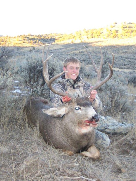 NM 2010