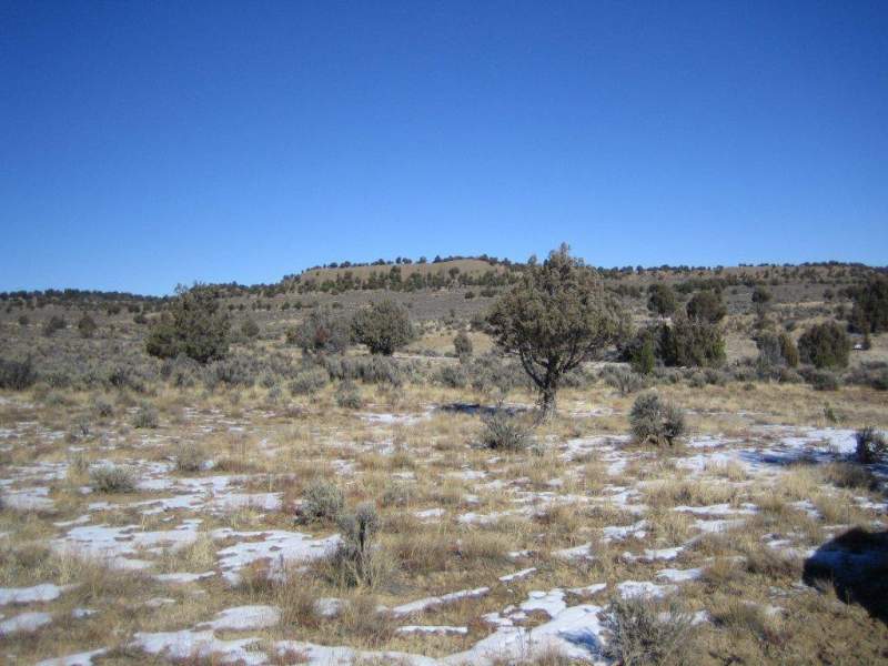 NM 2010