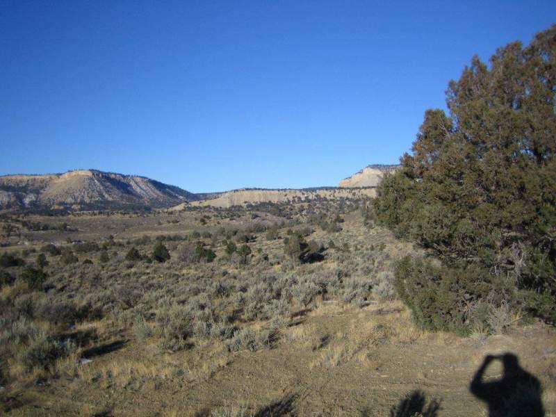 NM 2010