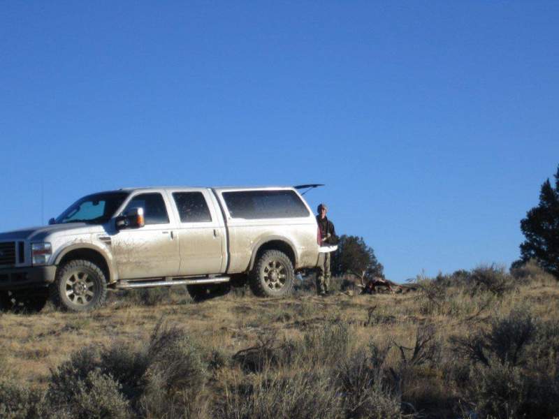 NM 2010