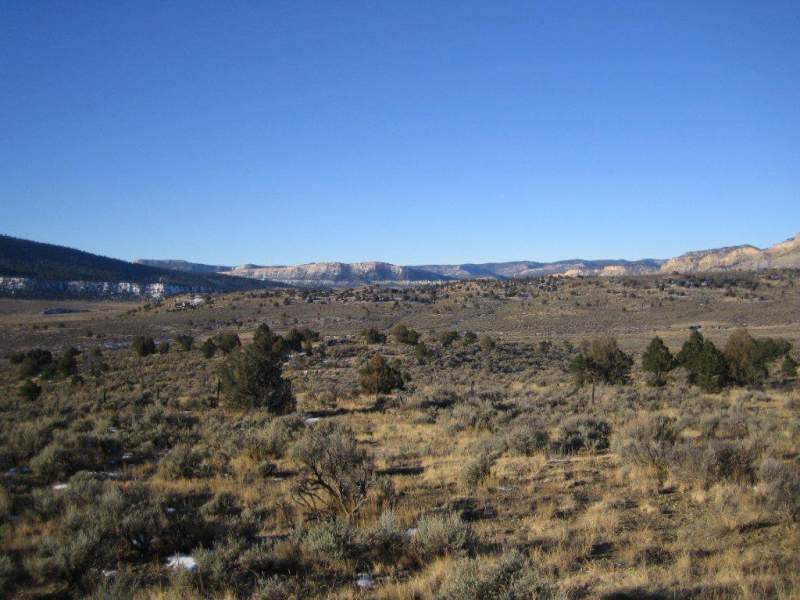 NM 2010