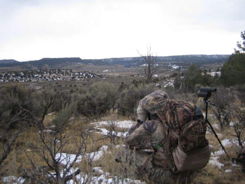 NM 2010