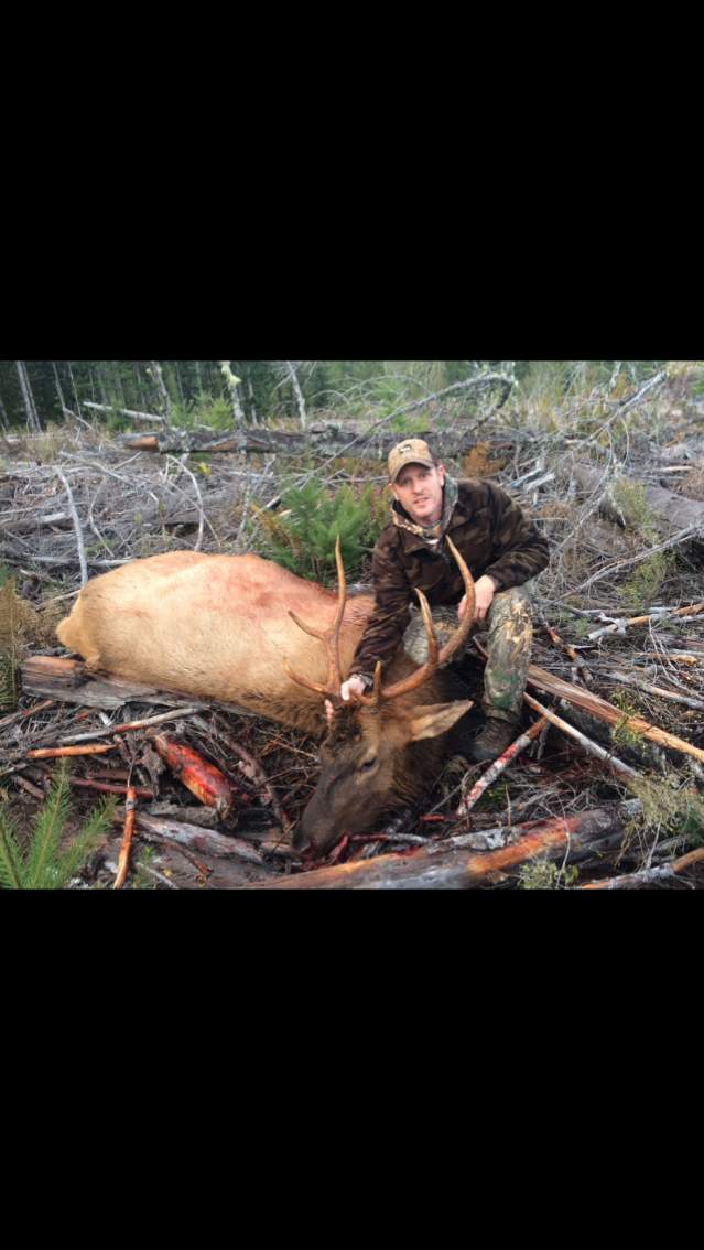 Nov 2017 Roosevelt Elk