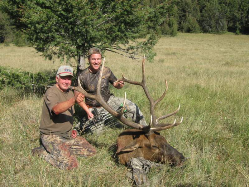 Openning day of archery season in Montana, 2009 - I bugled this bull in and my son, Tyler took him with his bow.