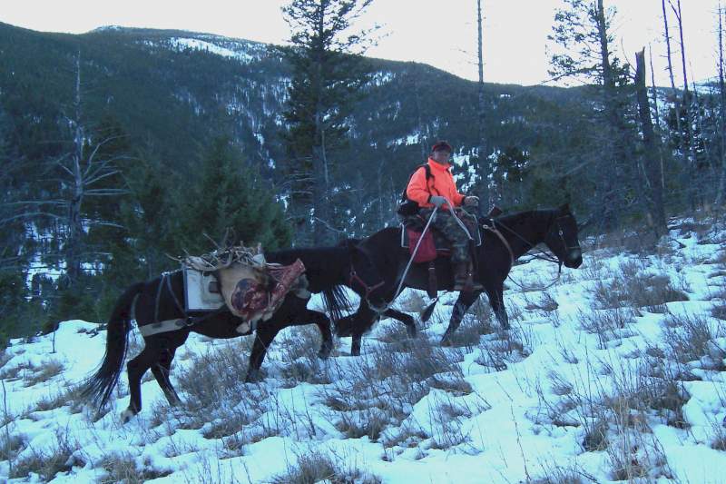 Packing out a raghorn bull taken north of Helena, Montana in 2005.