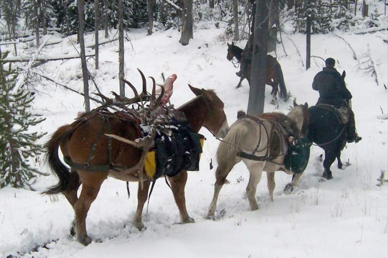 Packing out my bull lead by Tim Hockhalter and Mike Colpo.  October, 2006.