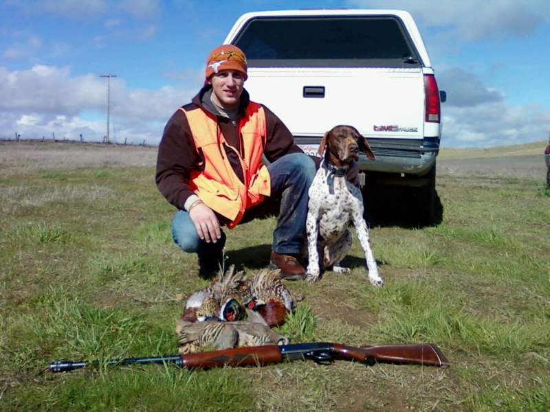 Pheasant/Chukar hunt at Linc Raahauge's Hunting Club; Dunnigan, CA