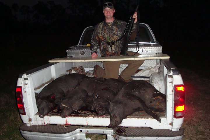Pile of hogs