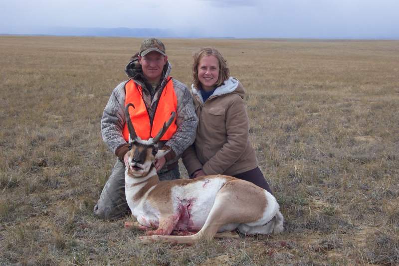 Pronghorn - Wyoming