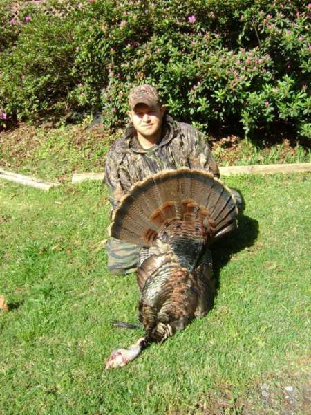 public land ga bird