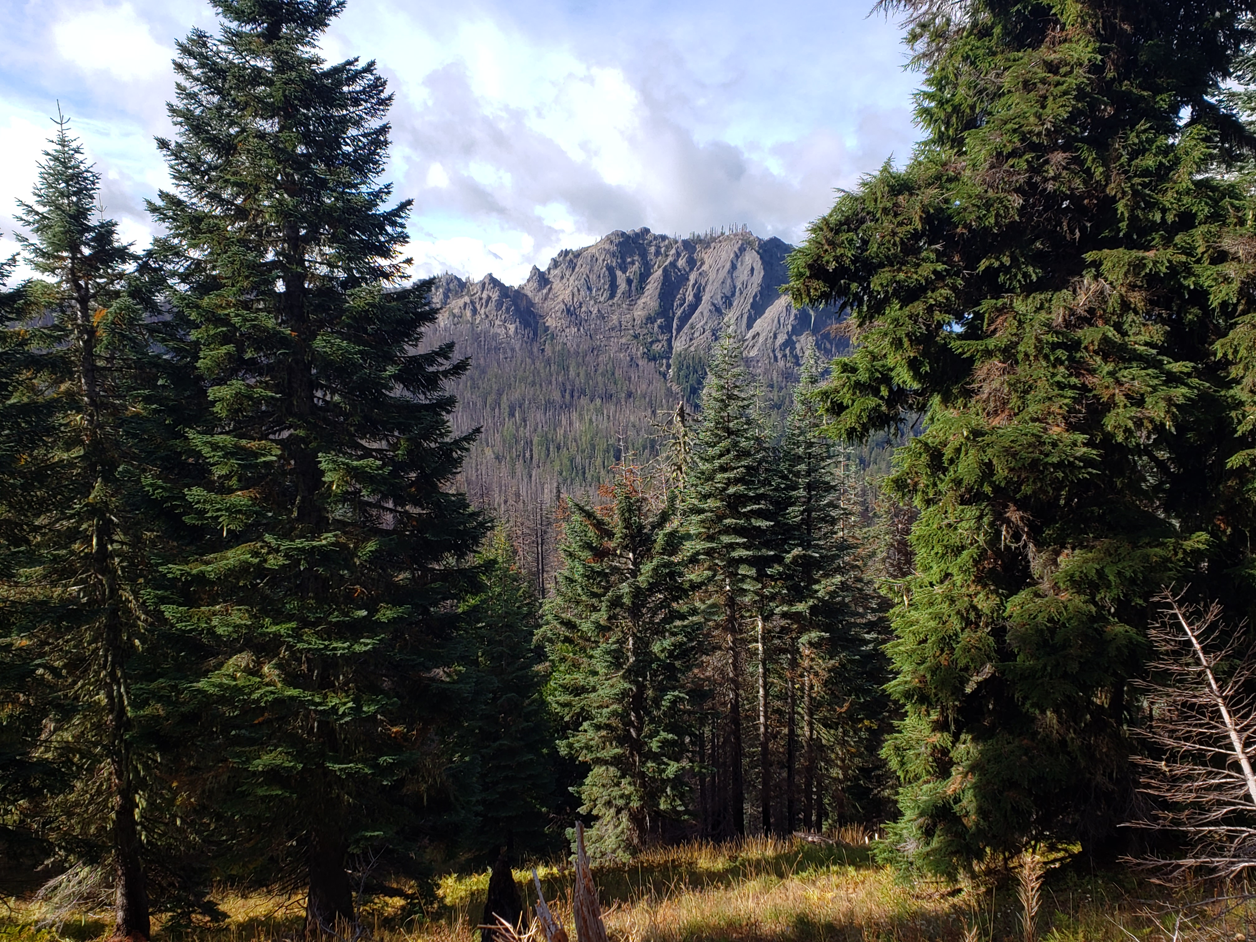 Rattlesnake Mountain