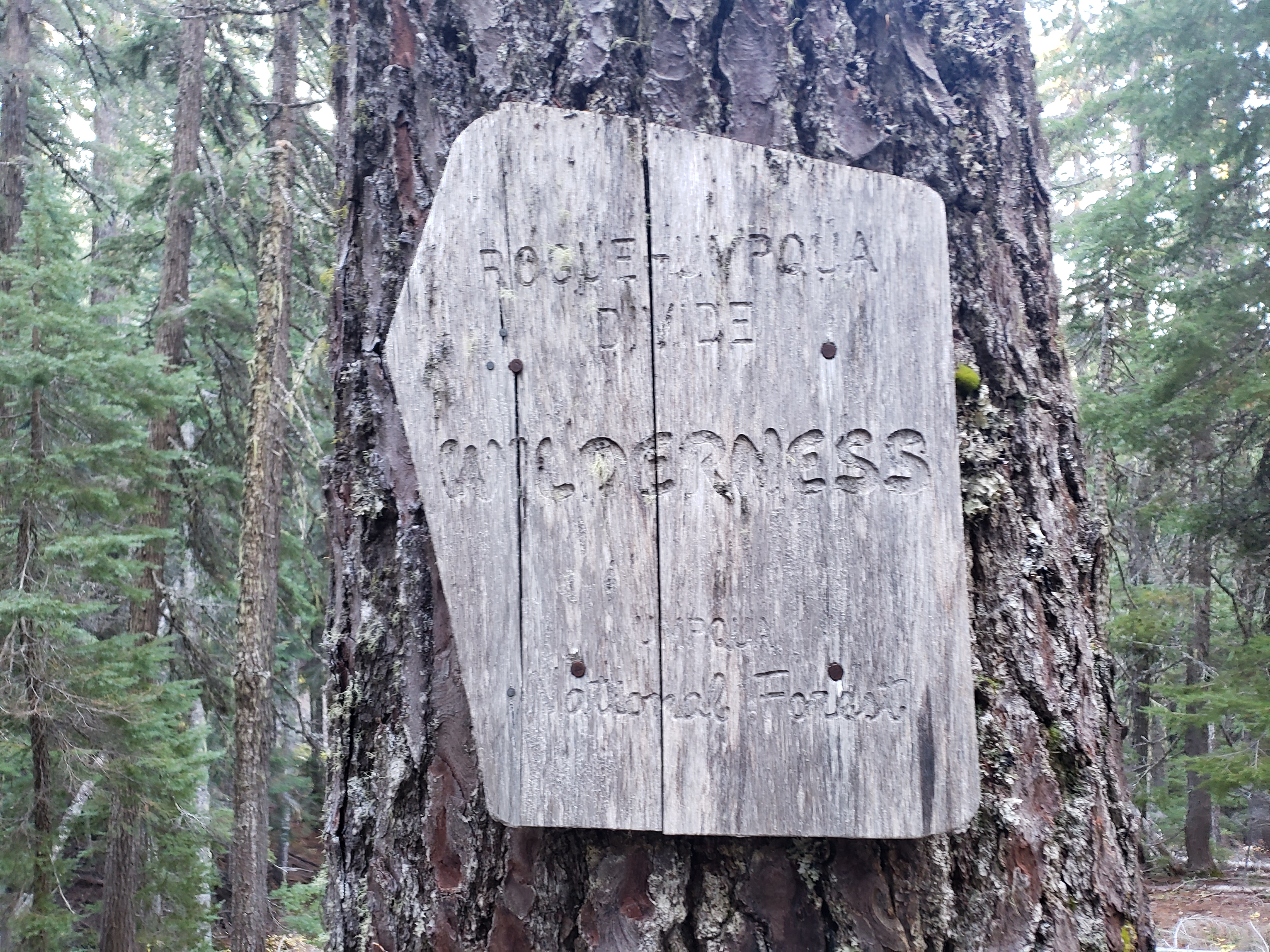 Rogue-Umpqua Divide Wilderness