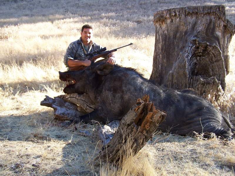 Ruben's Rhino! This hog was so old, most of the hair was completely gone, hence &quot;Rhino&quot;. OH...and its freaking huge!

Taken in CA in 2008.