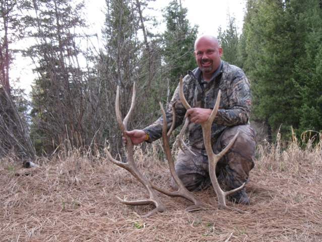 Shed hunting