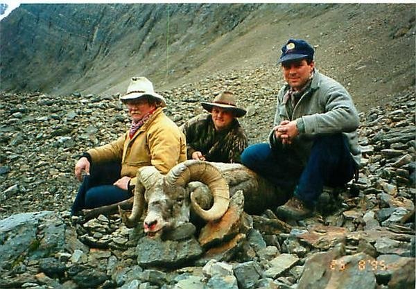 Stone Sheep - BC (1995)