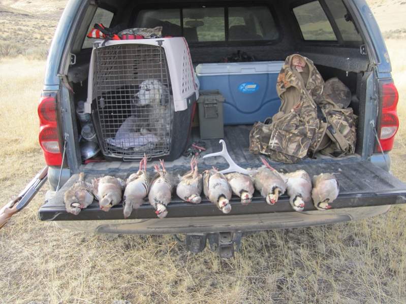 Successful day after Chukar