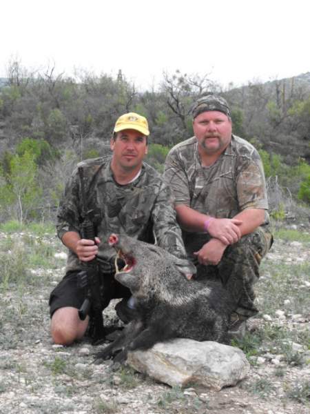 Texas javelina 3/2012