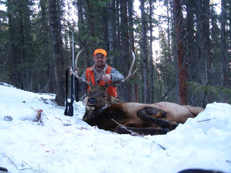 This Bull was a long drag, finished getting him out the next day