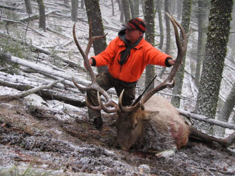 This is my best Montana bull, taken in a limited permit area near Helena, Montana.  He grossed 341&quot; b&amp;c.  November 13, 2008.