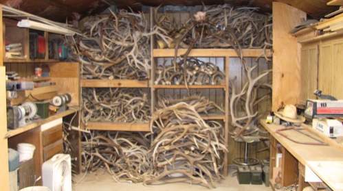 this is my wall of antlers in my workshop