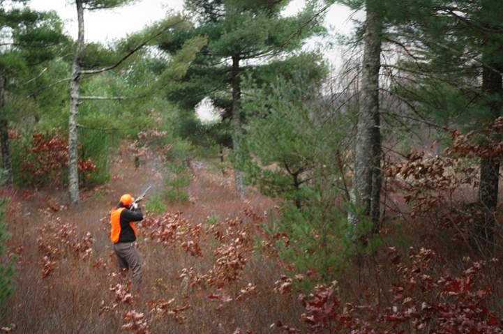 This was a picture my buddy caught of me tagging a pheasant.  Always fun going after them.