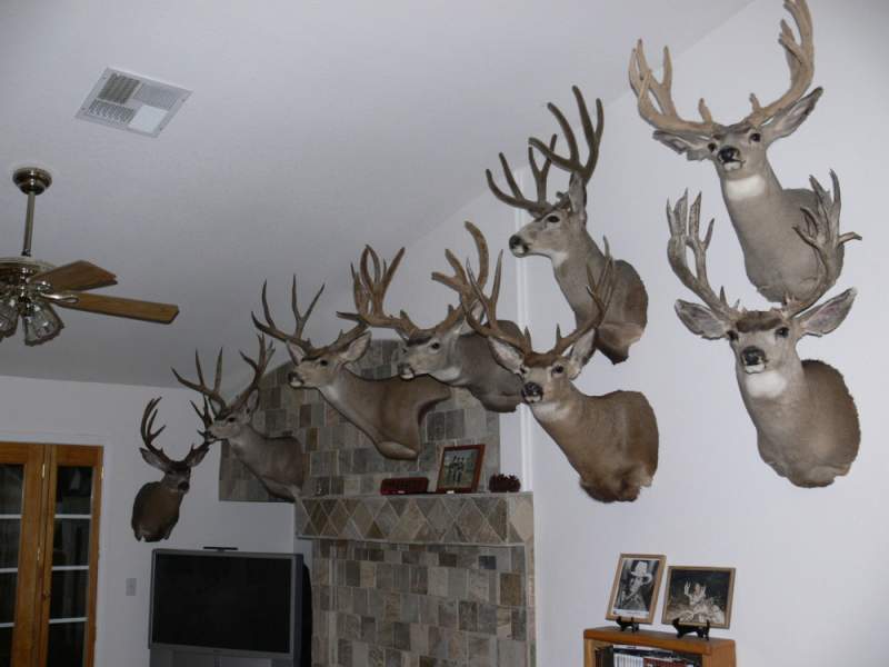 Trophy Room 2010 002