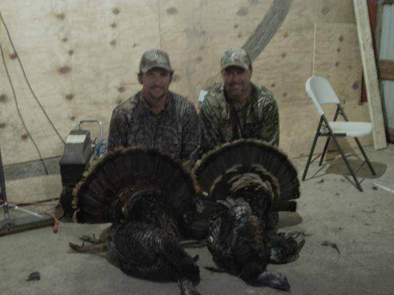Turkey Hunt ,double birds down