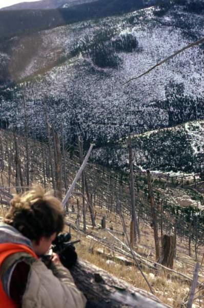 Tyler, lining up on a mule deer buck in the 1980's.