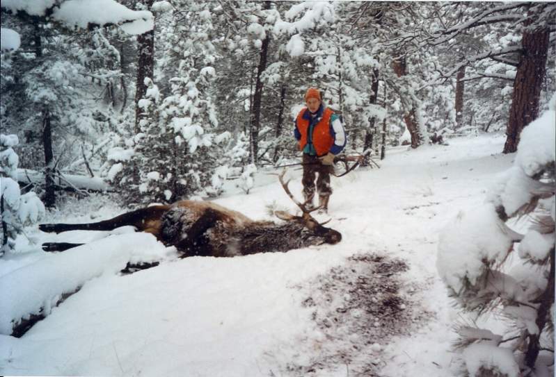 Tyler's 1992 bull where he skidded to a stop.