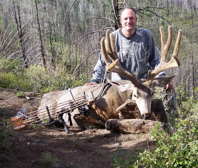 Utah Book Cliffs archery deer.