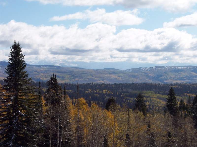 View from trail as walking out